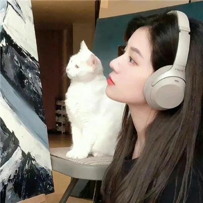 欢迎来到丛林